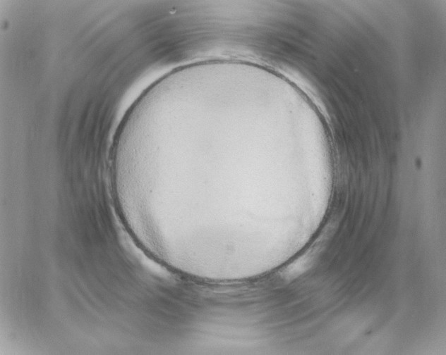 X0000062901486200602031819