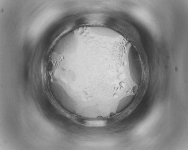 X0000062901487200602031819