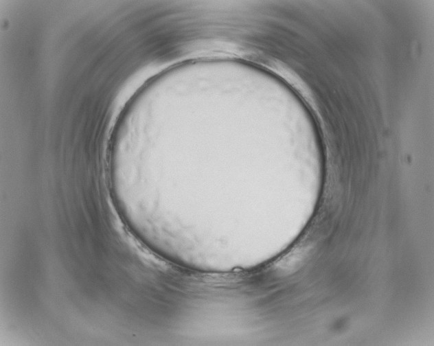 X0000062901488200602031819