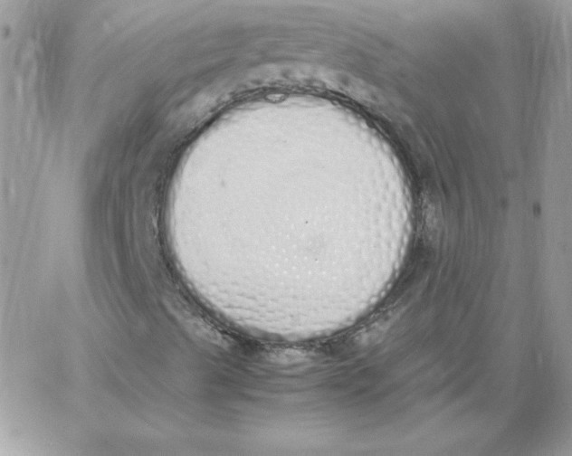 X0000062901489200602031819