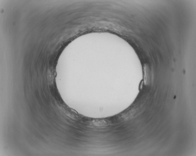 X0000062901491200602031819