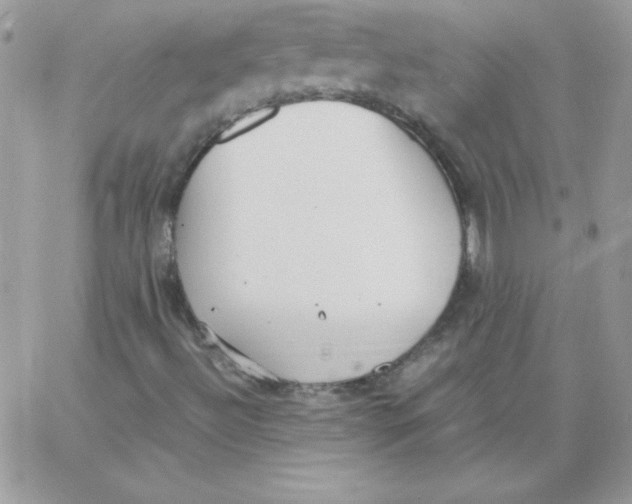 X0000062901492200602031819