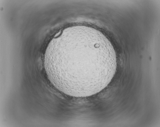 X0000062901493200602031819