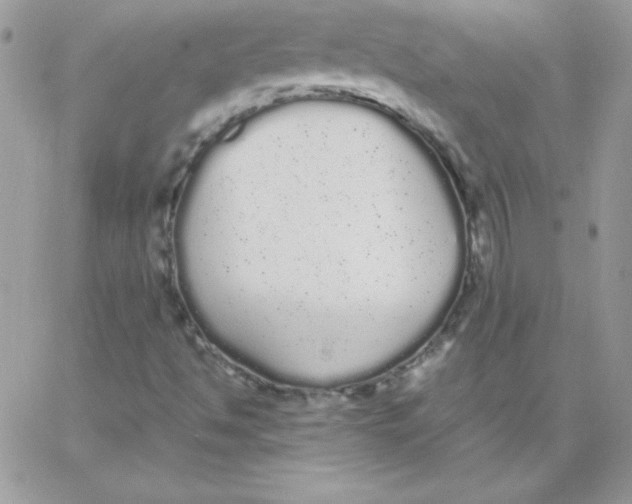 X0000062901494200602031819