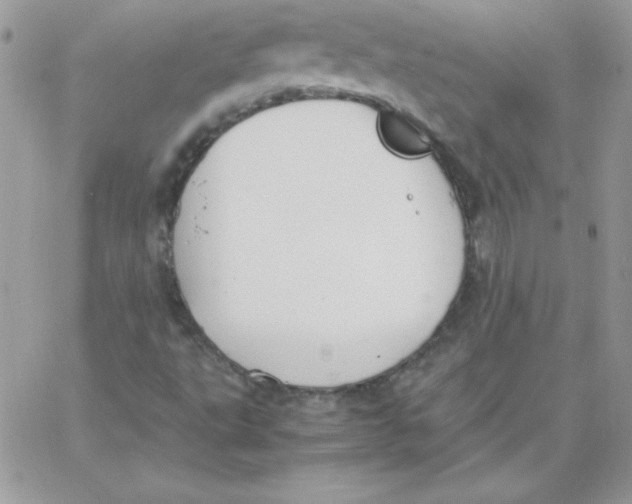 X0000062901495200602031819