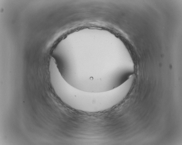 X0000062901496200602031819