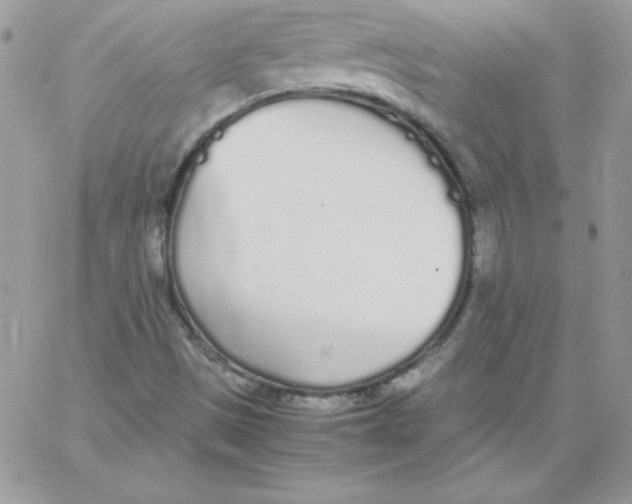 X0000062901497200602031819