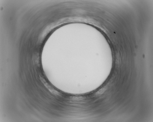 X0000062901499200602031819