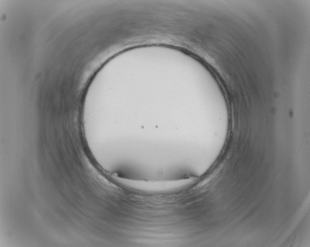 X0000062901500200602031819