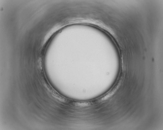 X0000062901501200602031819