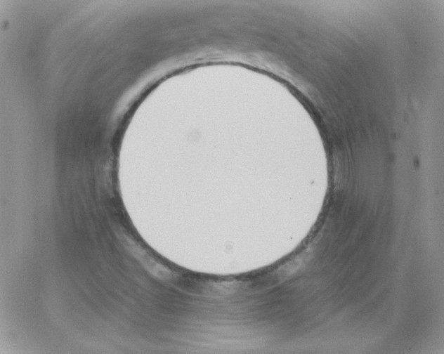 X0000062901502200602031819