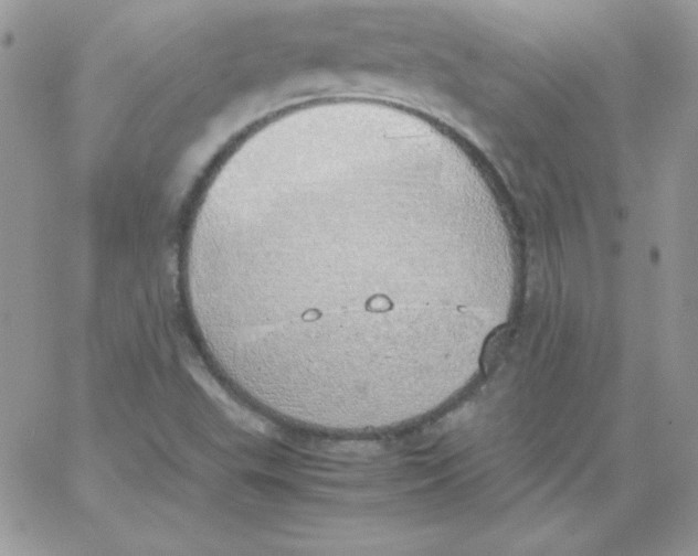 X0000062901503200602031819