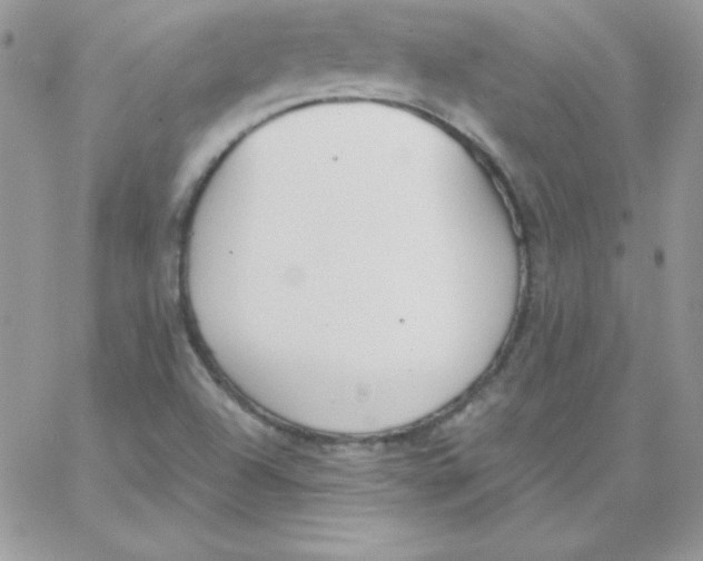 X0000062901504200602031819