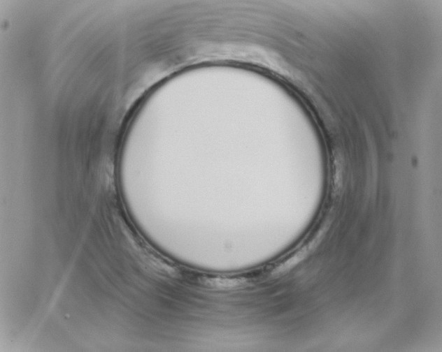 X0000062901505200602031819