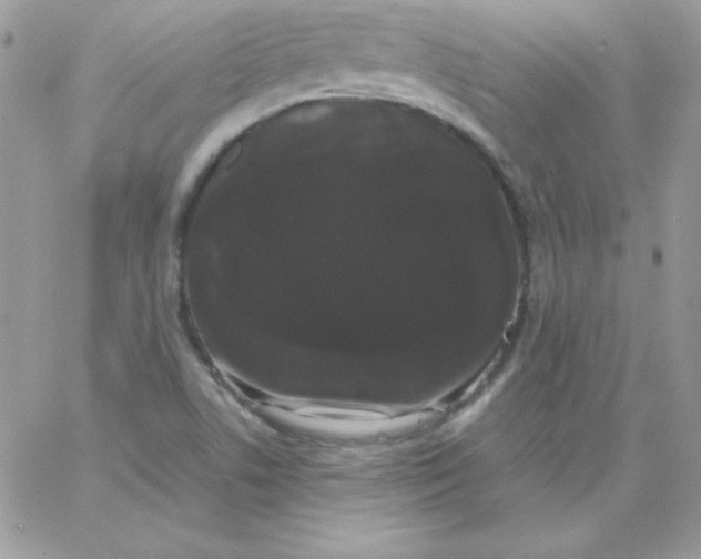 X0000062901506200602031819