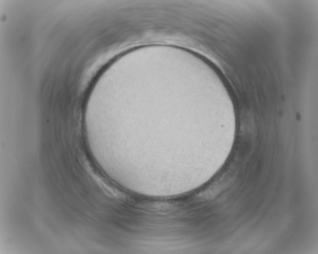 X0000062901507200602031819