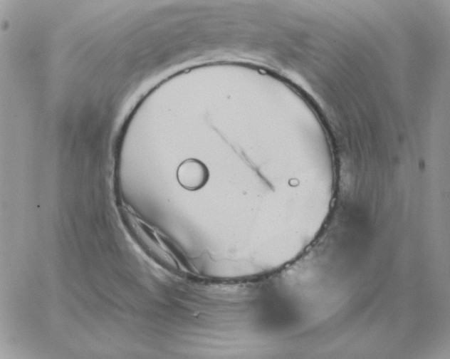 X0000062901508200602031819