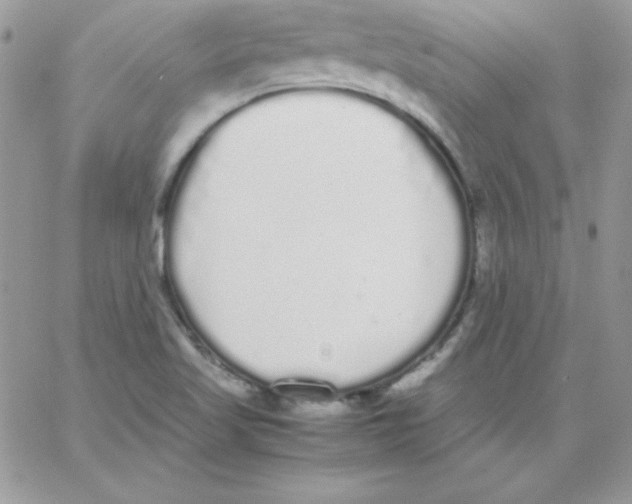 X0000062901509200602031819