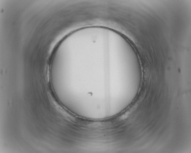 X0000062901510200602031819