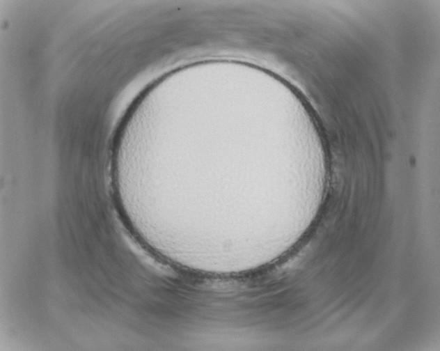 X0000062901511200602031819