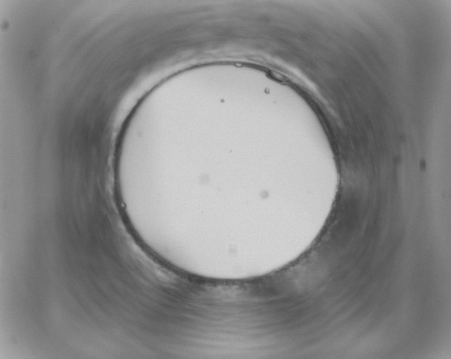 X0000062901512200602031819