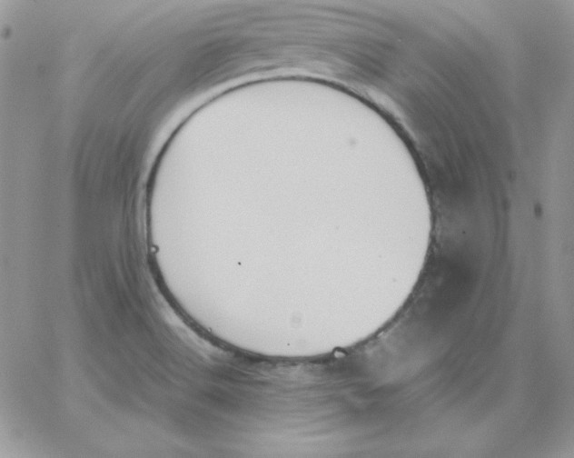 X0000062901516200602031819