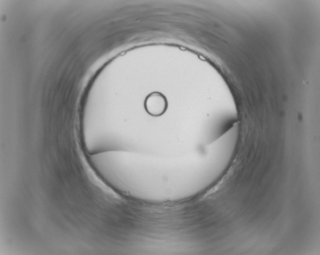 X0000062901518200602031819