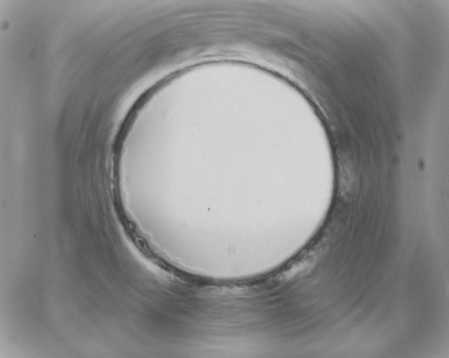 X0000062901519200602031819