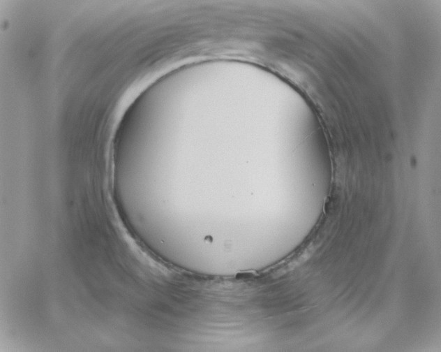 X0000062901520200602031819