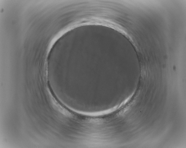 X0000062901522200602031819