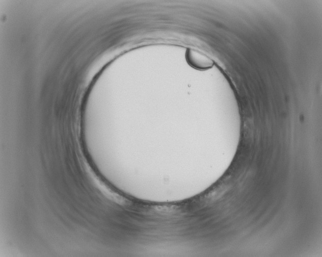 X0000062901523200602031819