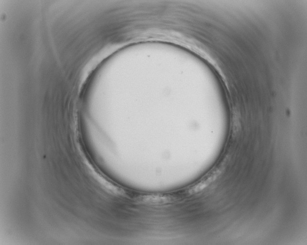 X0000062901525200602031819