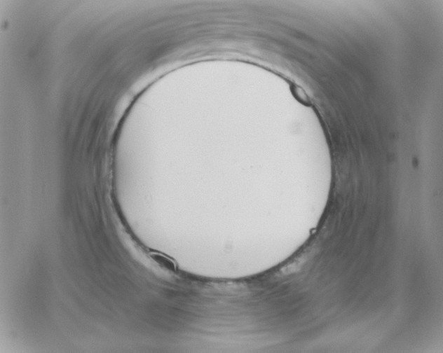 X0000062901526200602031819