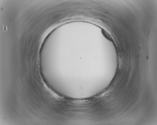 X0000062901527200602031819