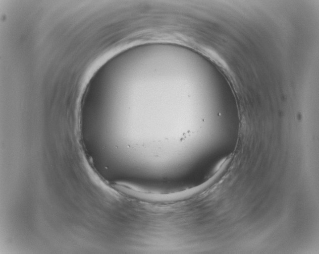 X0000062901528200602031819