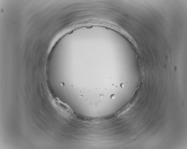 X0000062901530200602031819