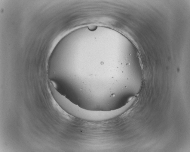 X0000062901532200602031819