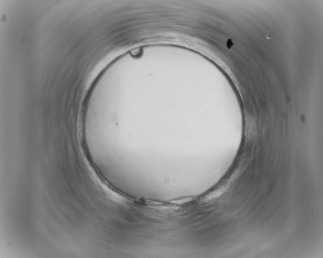 X0000062901533200602031819