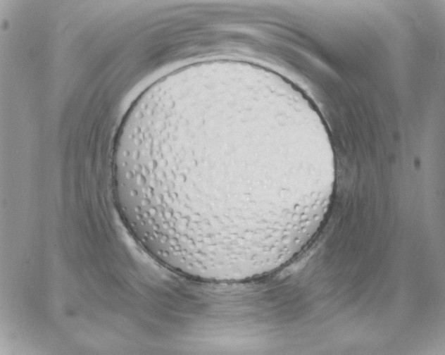 X0000062901534200602031819