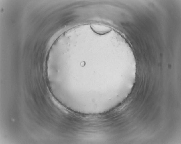 X0000062901535200602031819