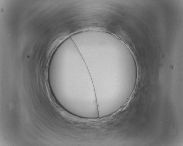 X0000062900001200602101818