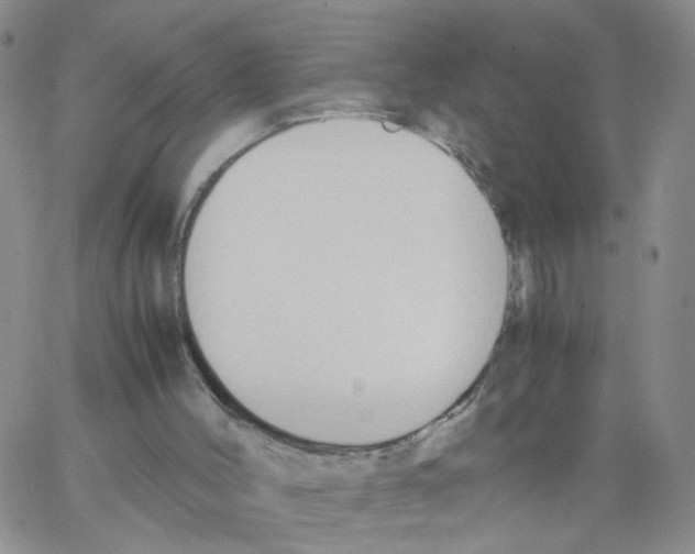 X0000062900004200602101818