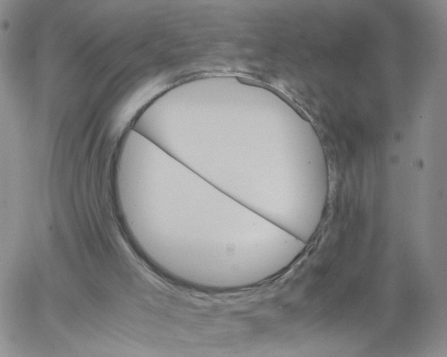 X0000062900005200602101818