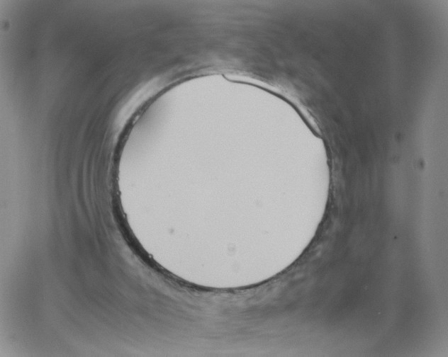 X0000062900007200602101818