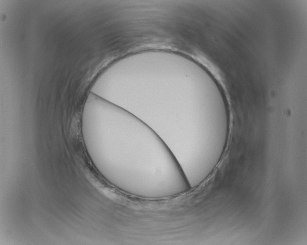 X0000062900009200602101818