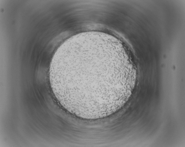 X0000062900010200602101818