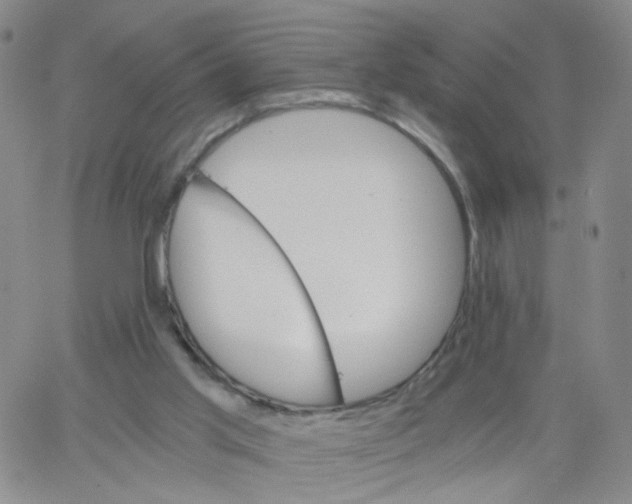 X0000062900013200602101818