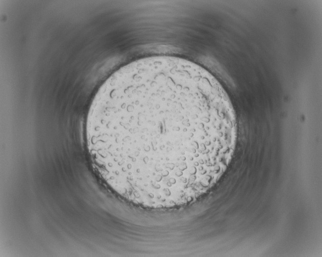 X0000062900014200602101818