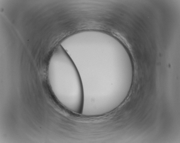 X0000062900017200602101818