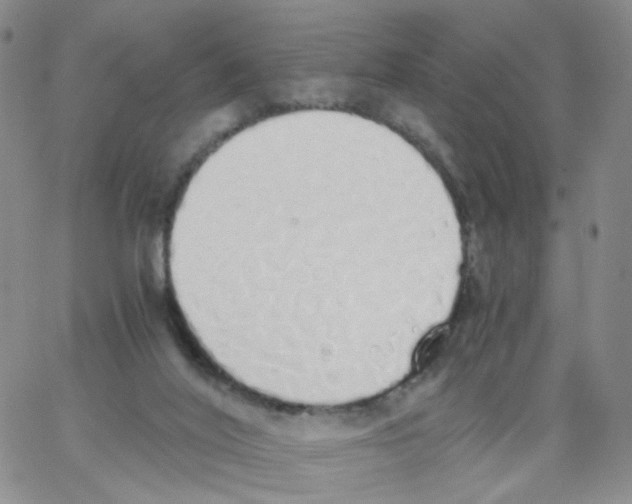 X0000062900020200602101818